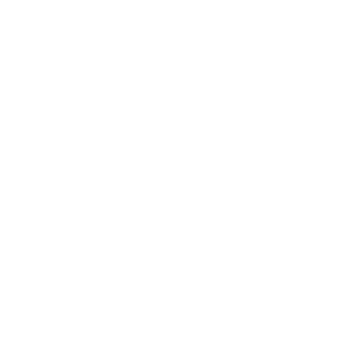 No Property Tax