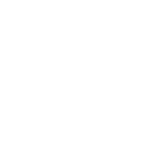 Gross Annual Income