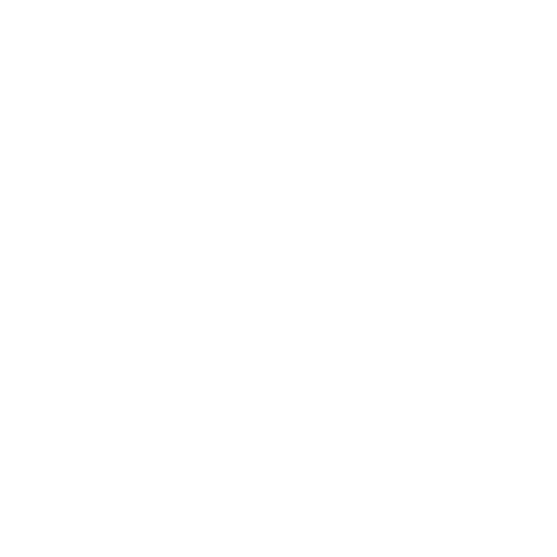 Public Safety