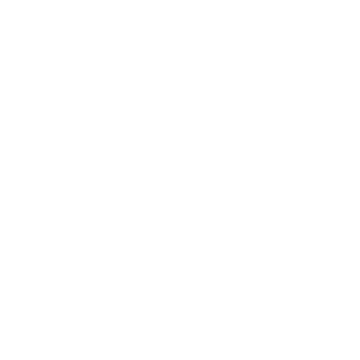 Investor Visa
